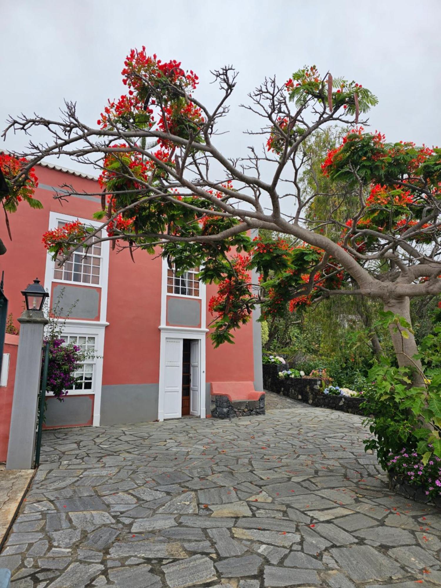 Corral De Payo Grande Guest House Brena Baja Luaran gambar
